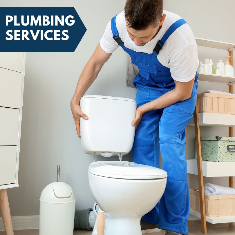 Plumbing Company in Brighton, MI
